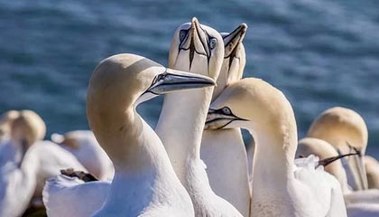 开云体育登录-世界田径大赛中国队再获佳绩,世界田径大赛中国队再获佳绩是什么