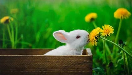 开云体育登录-世界田径大赛中国队再获佳绩，世界田径大赛中国队再获佳绩是什么