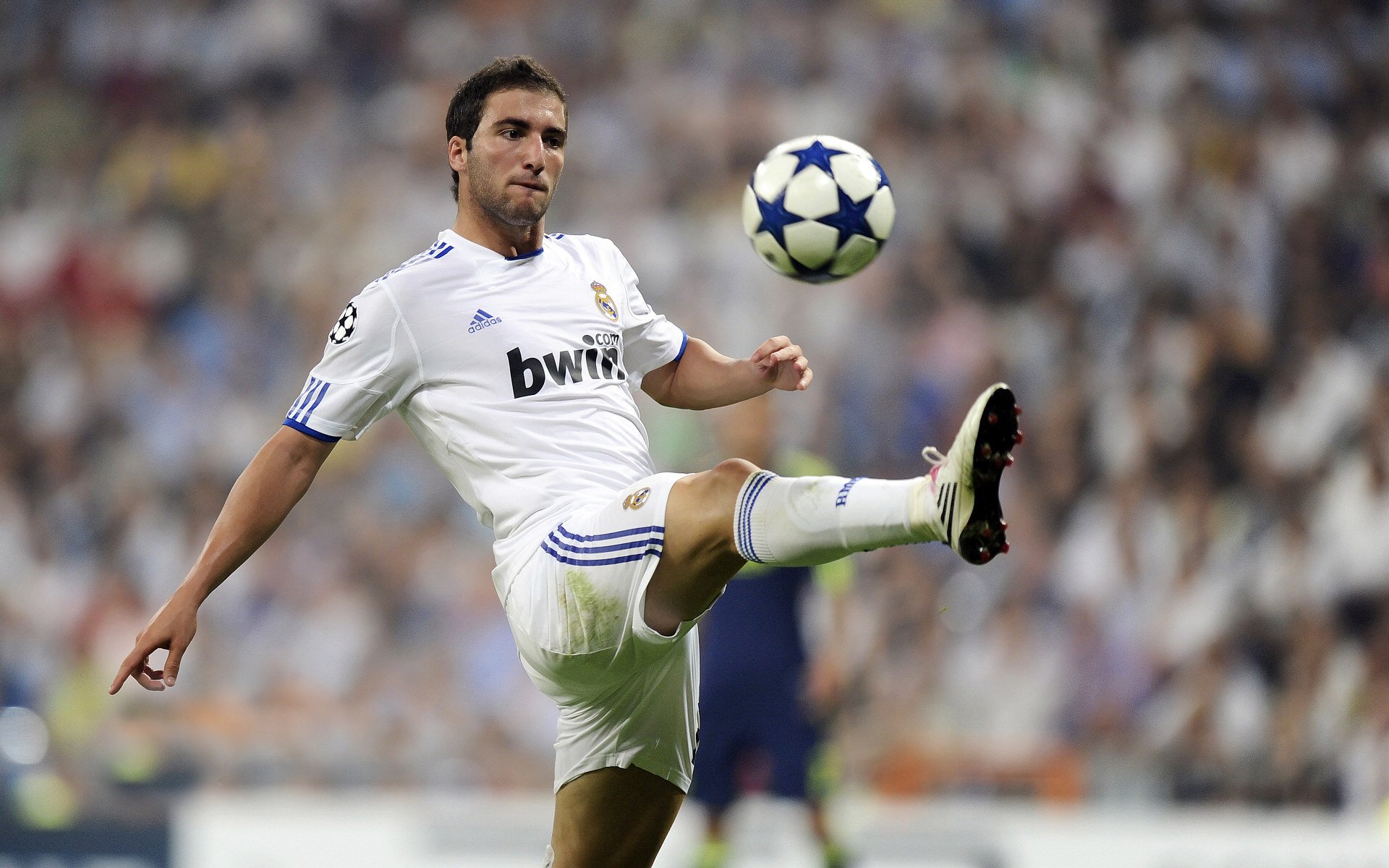 罗马争夺欧战资格，罗马争端兵种